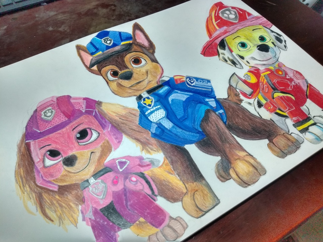 patrulha canina