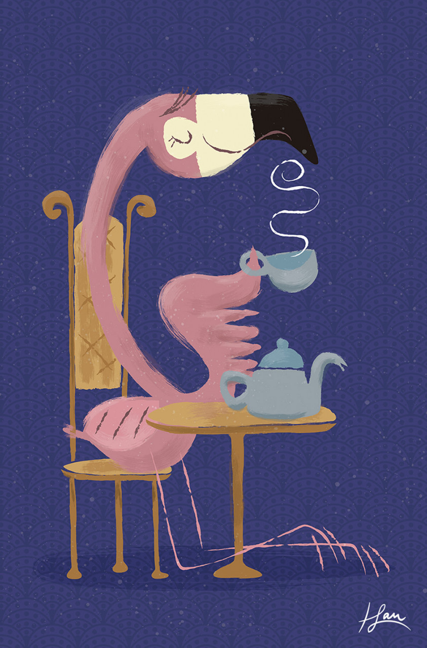 Flamingo